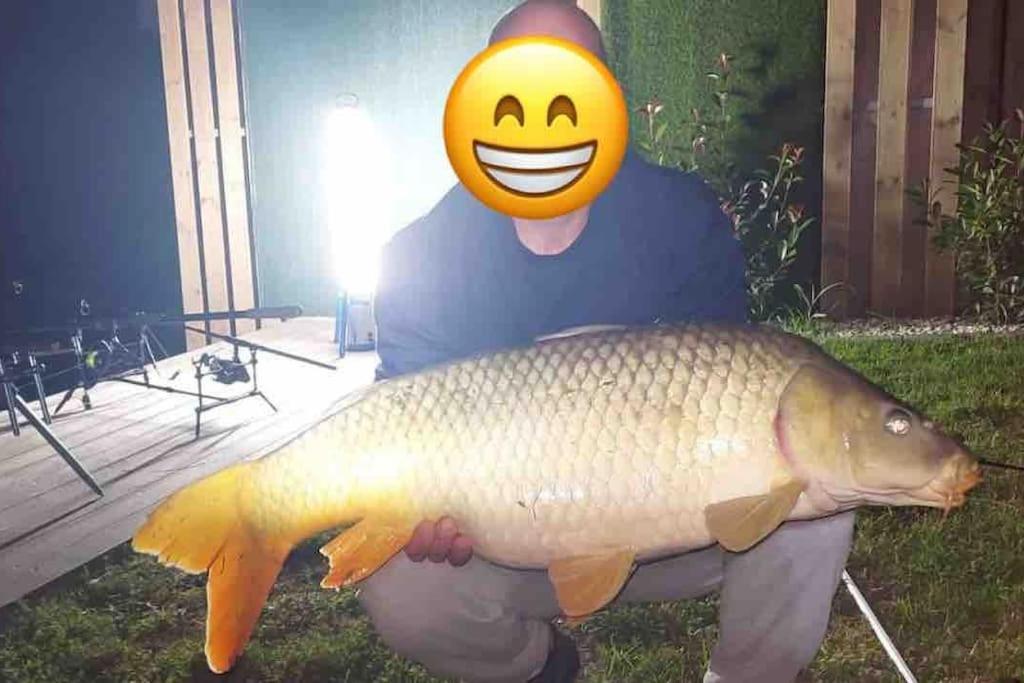 Domeglamping At Fishinglake Ságvár Zewnętrze zdjęcie